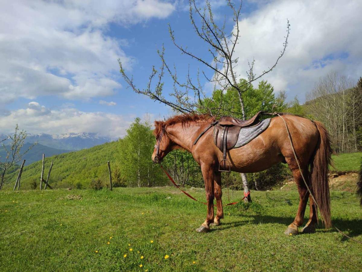 Koliba Marijanovic Vila Andrijevica Exterior foto